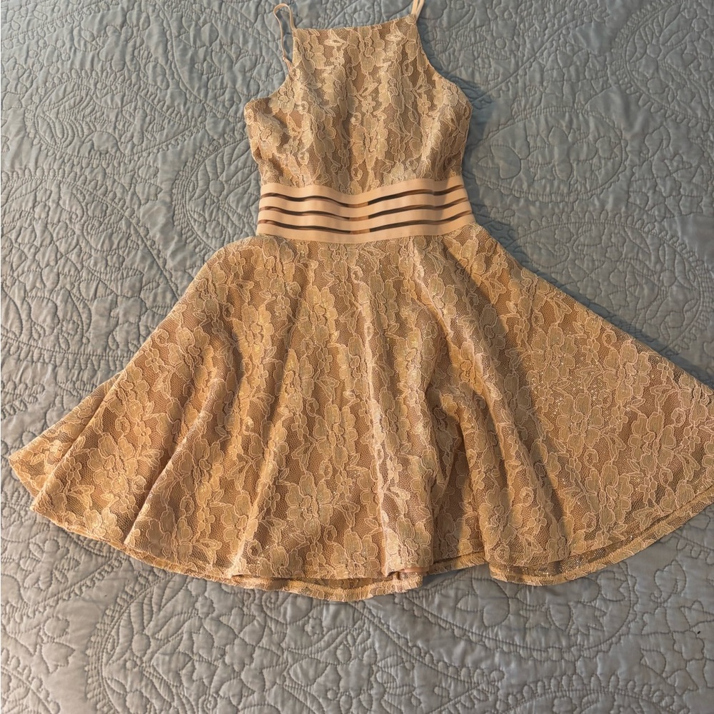 Elegant Lace Fit and Flare Dress